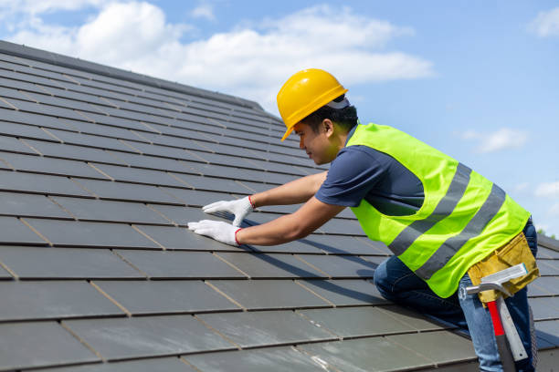 Professional Roofing Contractor in Ives Estates, FL