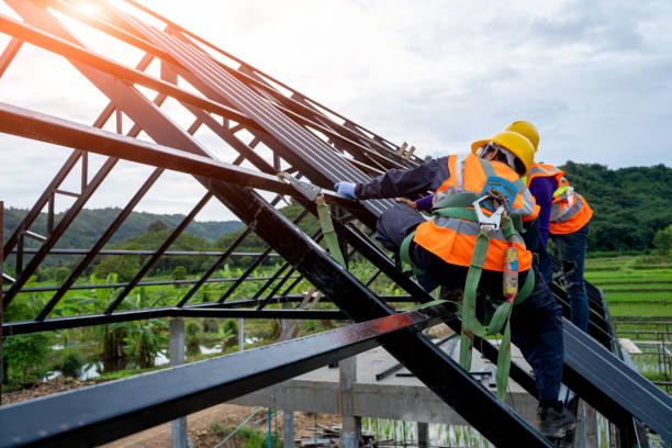 Best Roof Repair Services  in Ives Estates, FL