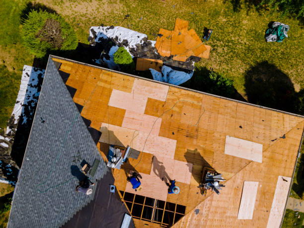 Quick and Trustworthy Emergency Roof Repair Services in Ives Estates, FL