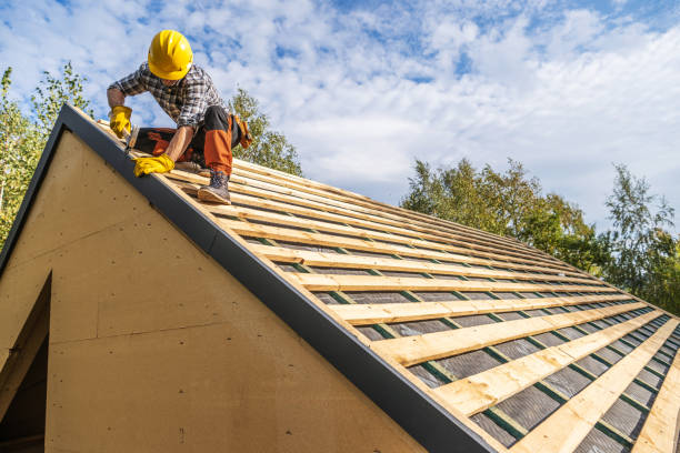 Best Local Roofing Companies  in Ives Estates, FL